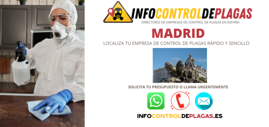 CONTROL DE PLAGAS MADRID