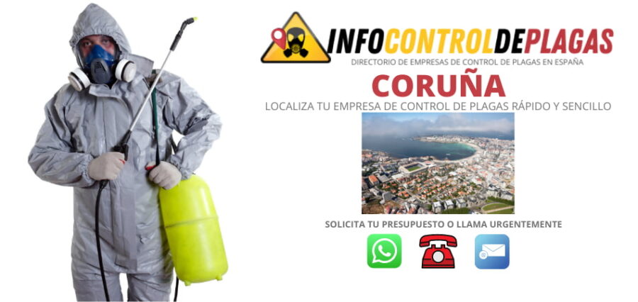 Empresas de control y fumigación de plagas en A Coruña