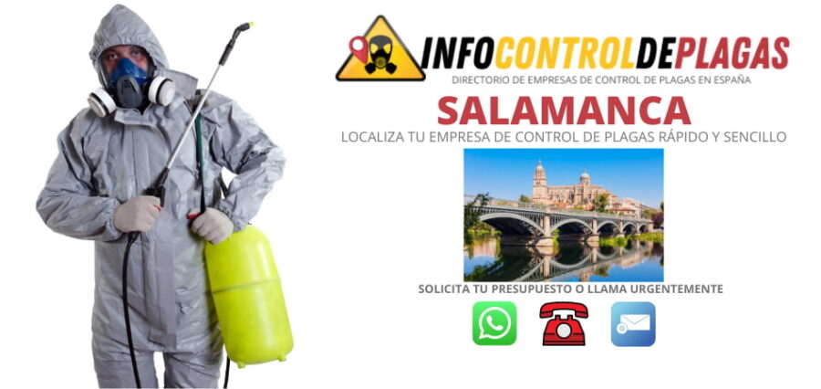 Empresas de control de plagas de Salamanca con el mejor precio