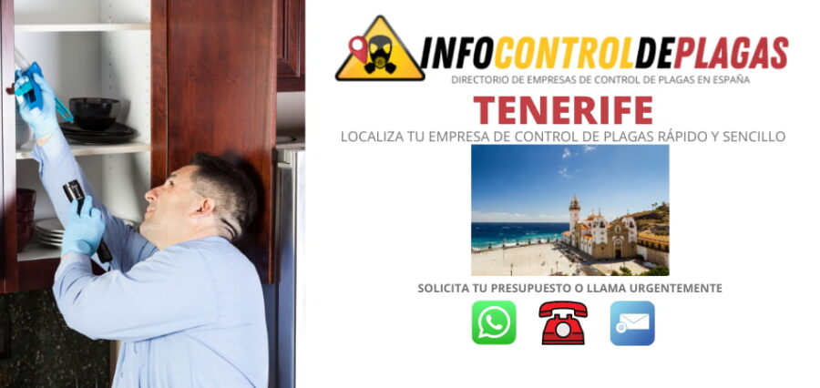 precios de control de plagas en Tenerife