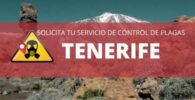 Empresas de fumigación y control de plagas en Tenerife