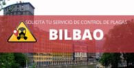 CONTROL DE PLGAS EN BILBAO PRECIO