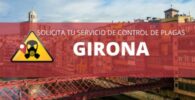 Control de plagas en Girona