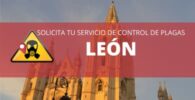 Control de plagas en León