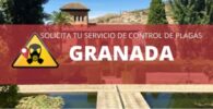 Control de plagas en Granada